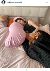 �Ƒ��Ƃ̂قق��܂����V���b�g�����J�����{���ʁi�ʐ^�̓C���X�^�O�������j 