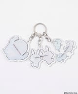 �A�N�����L�[�z���_�[ 