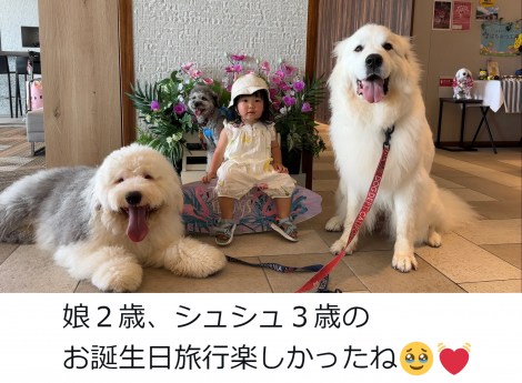 �R����炵�̃V���V������@@chouchou_the_g��� 