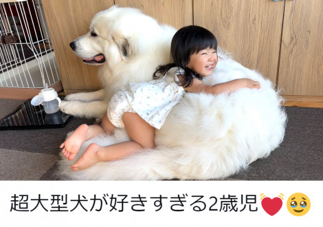 �R����炵�̃V���V������@@chouchou_the_g��� 