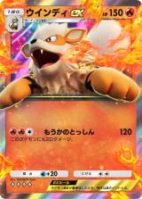 wPokemon Trading Card Game Pocketx̌|[g 