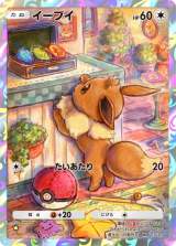 wPokemon Trading Card Game Pocketx̌|[g 