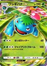 wPokemon Trading Card Game Pocketx̌|[g 