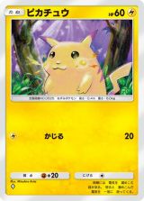 wPokemon Trading Card Game Pocketx̌|[g 