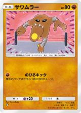 wPokemon Trading Card Game Pocketx̌|[g 