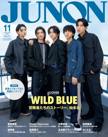 wJUNONx11Ցŕ\WILD BLUE 