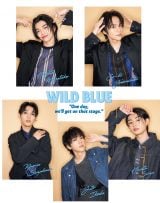 wJUNONx11ɓoꂷWILD BLUE 