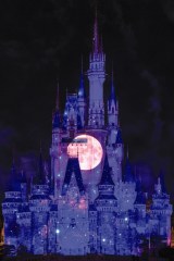 fBYj[h̐ṼLbXvWFNVwReach for the StarsxI 920X^[g (C)Disney 