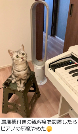 ���񂱂���i���񂱂Ƃ��Ȃ��@�[�d�˂��^@cat_anko3���j 