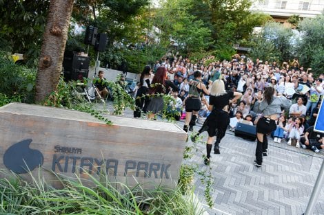 ELSEE��9��23���ɓ����E�a�J�̖k�J�����Ŏ��{�����t���[���C�u 