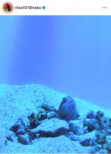 �v�E�������c����5���j�Ƃ́g�Ƒ����s�h�̎v���o�V���b�g�����J���������ˎсi�ʐ^�̓C���X�^�O���� ��riisa1018naka ���j 