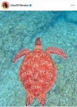 �v�E�������c����5���j�Ƃ́g�Ƒ����s�h�̎v���o�V���b�g�����J���������ˎсi�ʐ^�̓C���X�^�O���� ��riisa1018naka ���j 