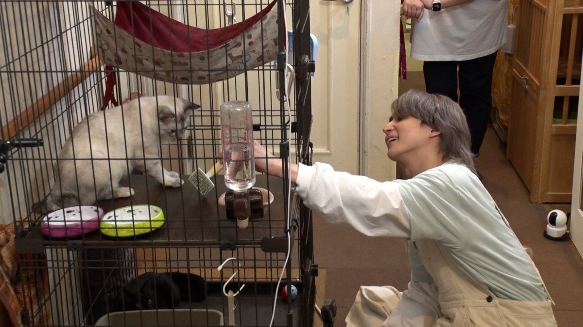 最終値下げ！佐久間大介さん着用　ラバーボーイ猫耳ビーニー 最終値下げ！佐久間大介さん着用 ラバーボーイ猫耳ビーニー - メルカリ