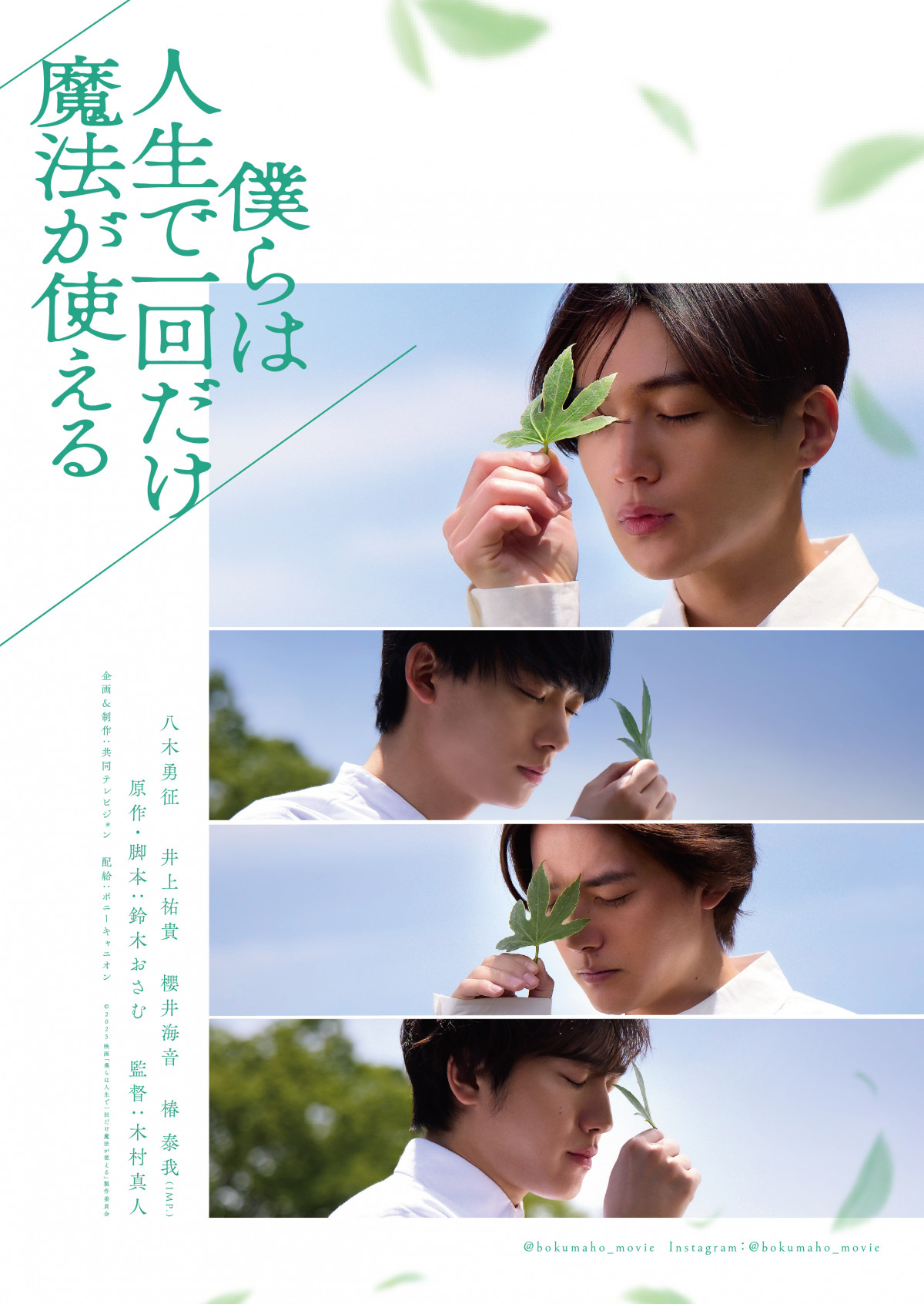 【2024福袋】 八木勇征主演、映画『僕らは人生で一回だけ魔法が使える ミュージシャン