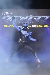 �e�����h���}�`���[�Y�I�w�E�C���O�}���x�L�҉�̖͗l 