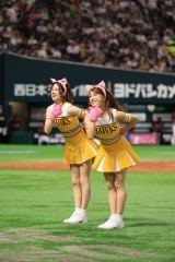 z[NXptH[}X`[̃o[(C)SoftBank HAWKS 