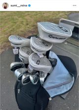 �h����ށu�Y�㏉���E���h�ɁA����ƍs���܂����[�v�@�i�ʐ^�̓C���X�^�O���� @sumi__reina ���j 