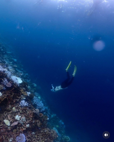 �����т���̂������Ȃ���_�C�r���O���y���ޒ�������� �i�ʐ^�̓C���X�^�O���� @nakajo_ayami ���j 