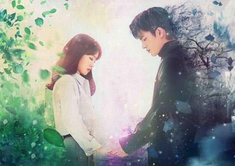 �w������A���̉Ƃ̌��ւɖŖS�������Ă����x�iC�jSTUDIO DRAGON CORPORATION 