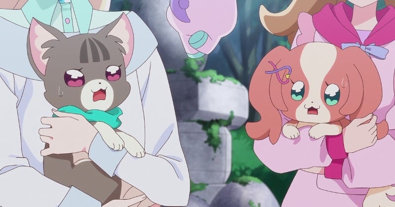 わんだふるぷりきゅあ！』猫屋敷まゆ、ネコに変身 からかうユキ…第40話