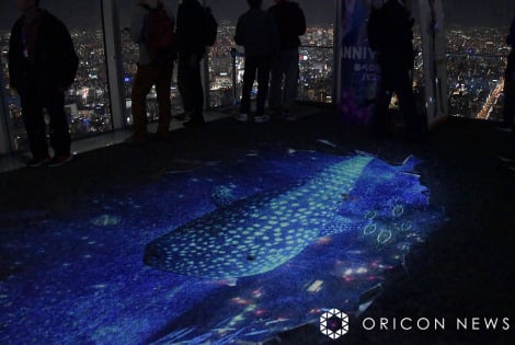 wNAKED CITY LIGHT FANTASIA 2024 -Go Around OSAKA-xOPZj[̖͗l(C)ORICON NewS inc. 