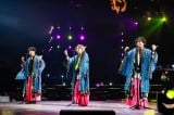 A[icA[wNEWS LIVE TOUR 2024 JAPANEWSxŏIJÂNEWS 