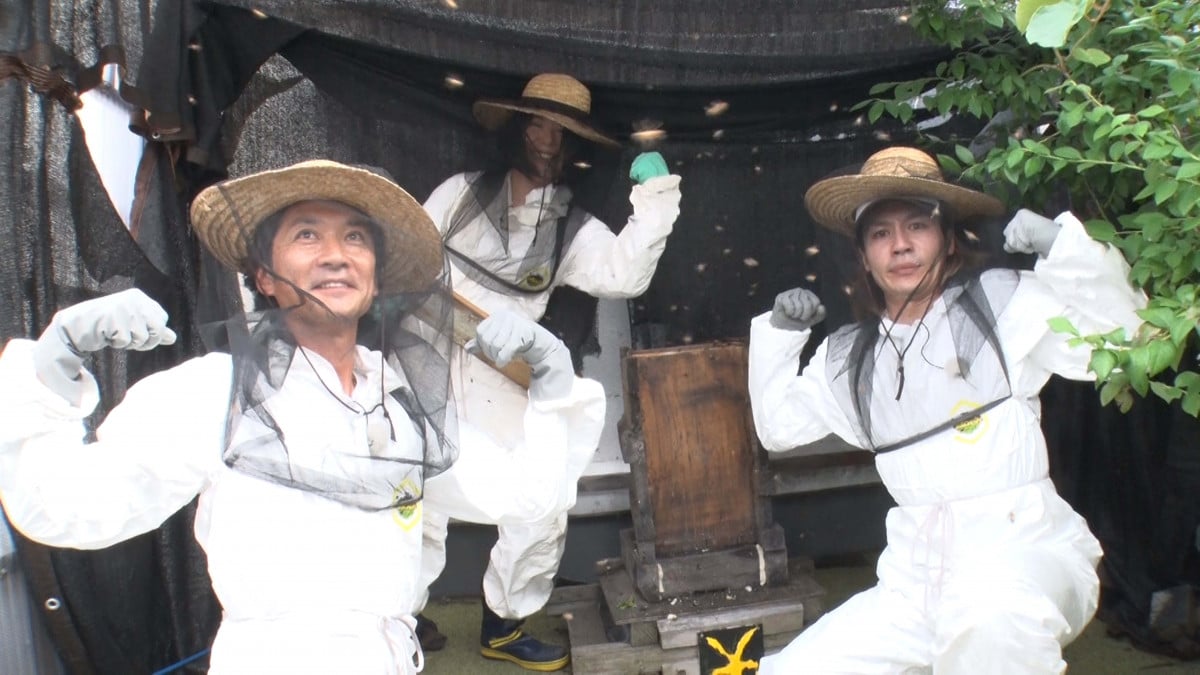 ちいちです CD】ご注文はうさぎですか？？キャラクターソロシリーズ09チノ（CV