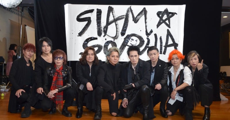 SIAM SOPHIAセット SIAM SHADE SOPHIA ひまわり SOPHIA×SIAM SHADEメンバーによる＜SIAM SOPHIA＞SPライブに