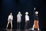 w2024 2NE1 CONCERT [WELCOME BACK] IN JAPANx 