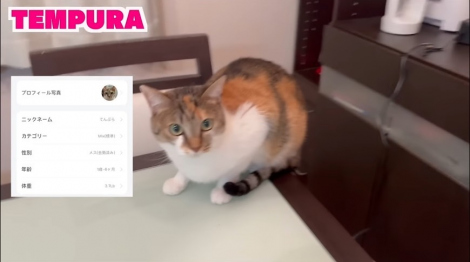 �݂肿��ނ̎��Ƃ̔L�E�Ă�Ղ�@�i�ʐ^�́u�݂肿���Channel�v���j 