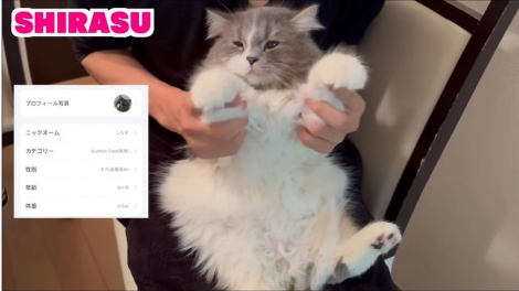 �݂肿��ނ̎��Ƃ̔L�E���炷�@�i�ʐ^�́u�݂肿���Channel�v���j 