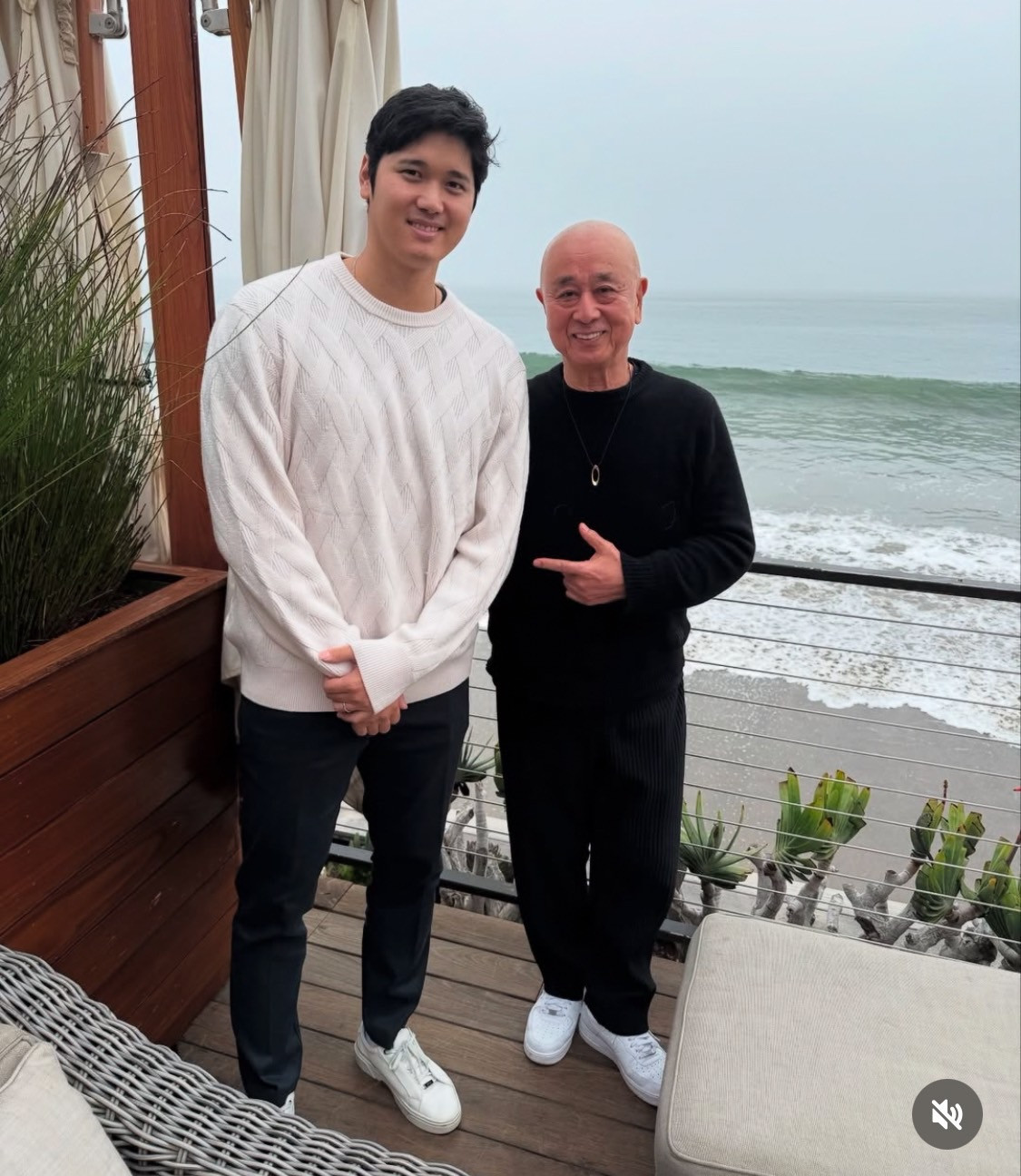 画像・写真 | デコピン、海をバックにソファでのんびり オフショット