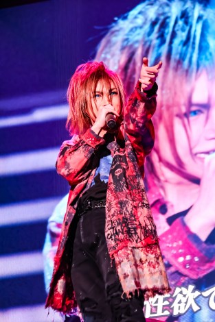 画像・写真 | ゴールデンボンバー20周年アリーナライブ『旧作