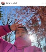 �䐳�͂̎����E�䏬�t�A��E���c����&�o�E�e�T��3�V���b�g�ŏΊ� �Ƒ��ŉ߂����������̎v���o���Љ� 