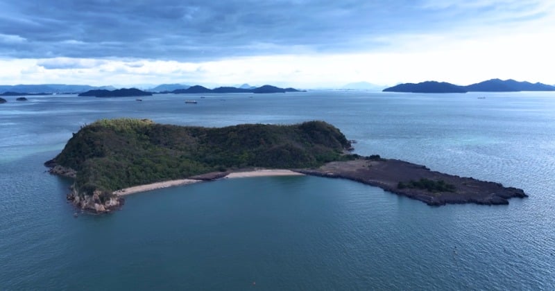 「不気味ですね…」倉敷から目と鼻の先の無人島、地元住民も情報なし カメラ潜入・多数の謎見つかる