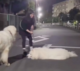 �U�����̈�����������܂����̍s���c�H�ʂɁg�t�󉻁h���ĎU���X�g����47kg����^��&�U���Ŗ҃_�b�V�����钆�^���u���Ɏ����Ă�l�Ԃ̐}�v 