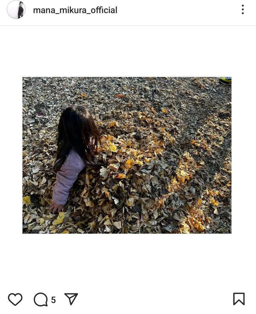 Oq䝓ނ̃CX^O(@mana_mikura_official) 