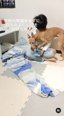 �ɂ��ɂƍU�h����J��L���郍�C����i@tonmama8480���j 