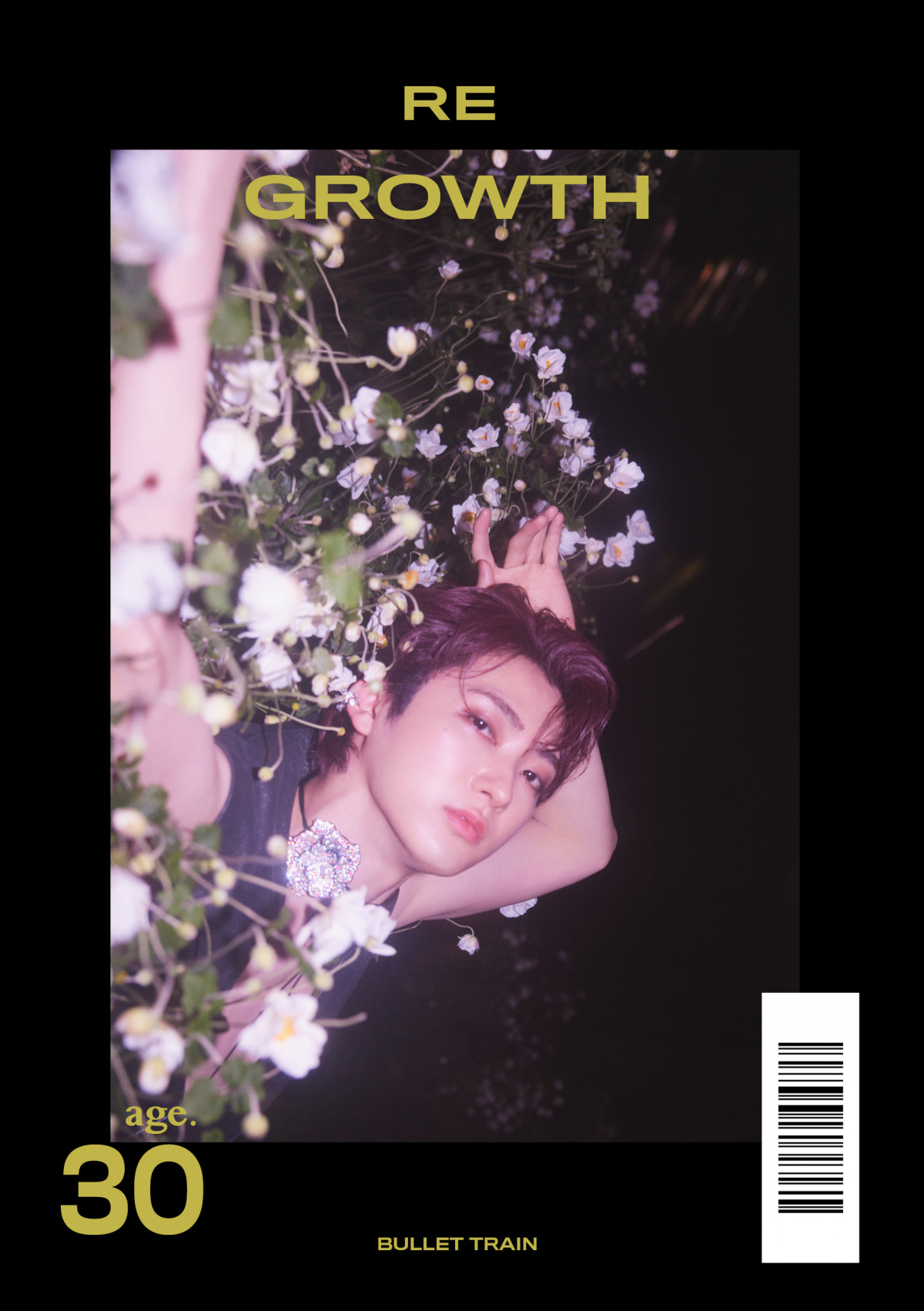 BULLET TRAIN No.5 YUKI PHOTO WORD BOOKwRE GROWTHx\(ؔ/) (C)SDP 