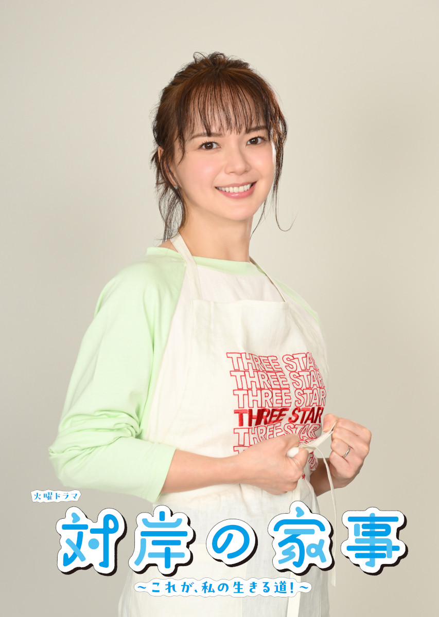 Amazon.co.jp: 私の家政夫ナギサさん DVD-BOX : 多部未華子
