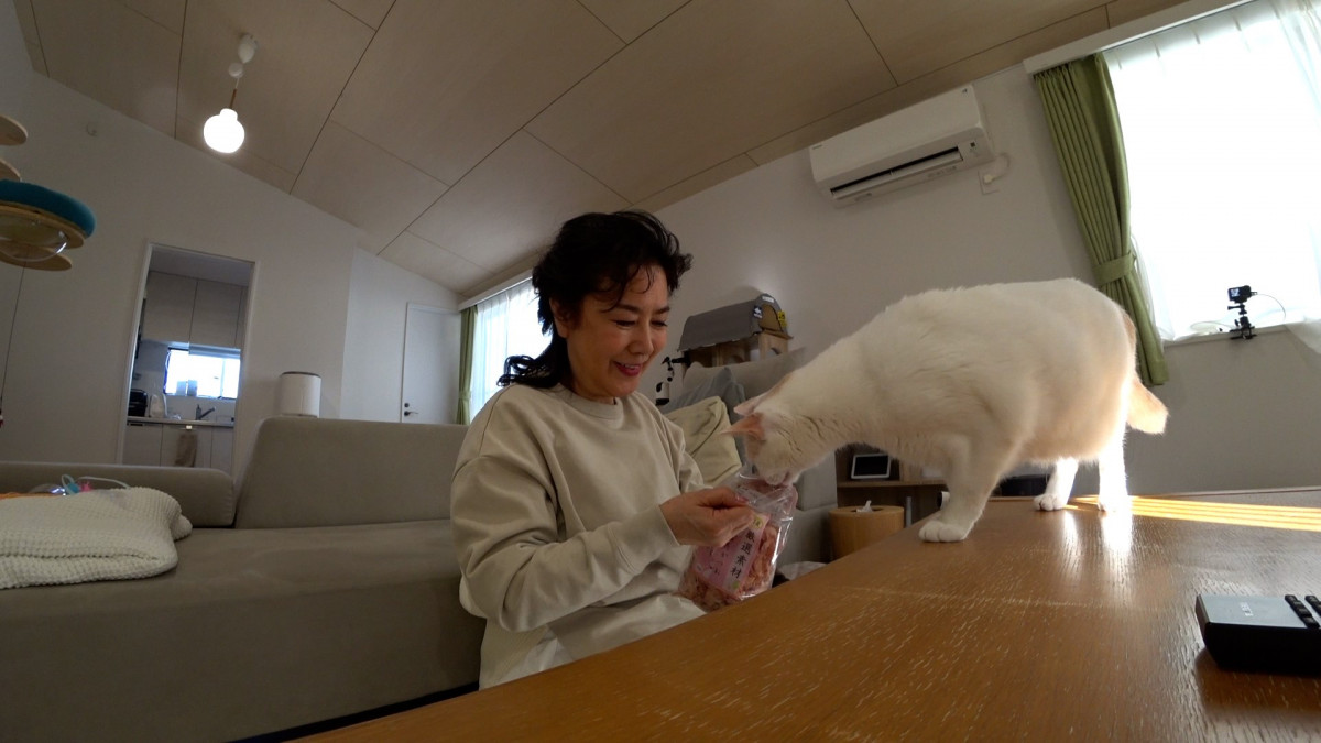画像・写真 | “36匹の猫”と暮らしていた名取裕子、サンシャイン池崎の自宅を訪問 野良猫にマル秘テクニックさく裂 1枚目