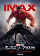 チャゲ様専用 まとめ売り IMAX入場特典ポスター マーベル MARVEL