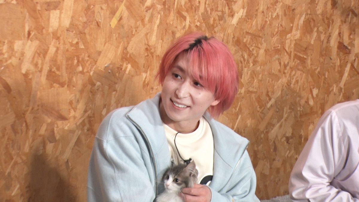 佐久間大介、ネコ相手に“繊細なマッサージテク”披露「動物を癒やす