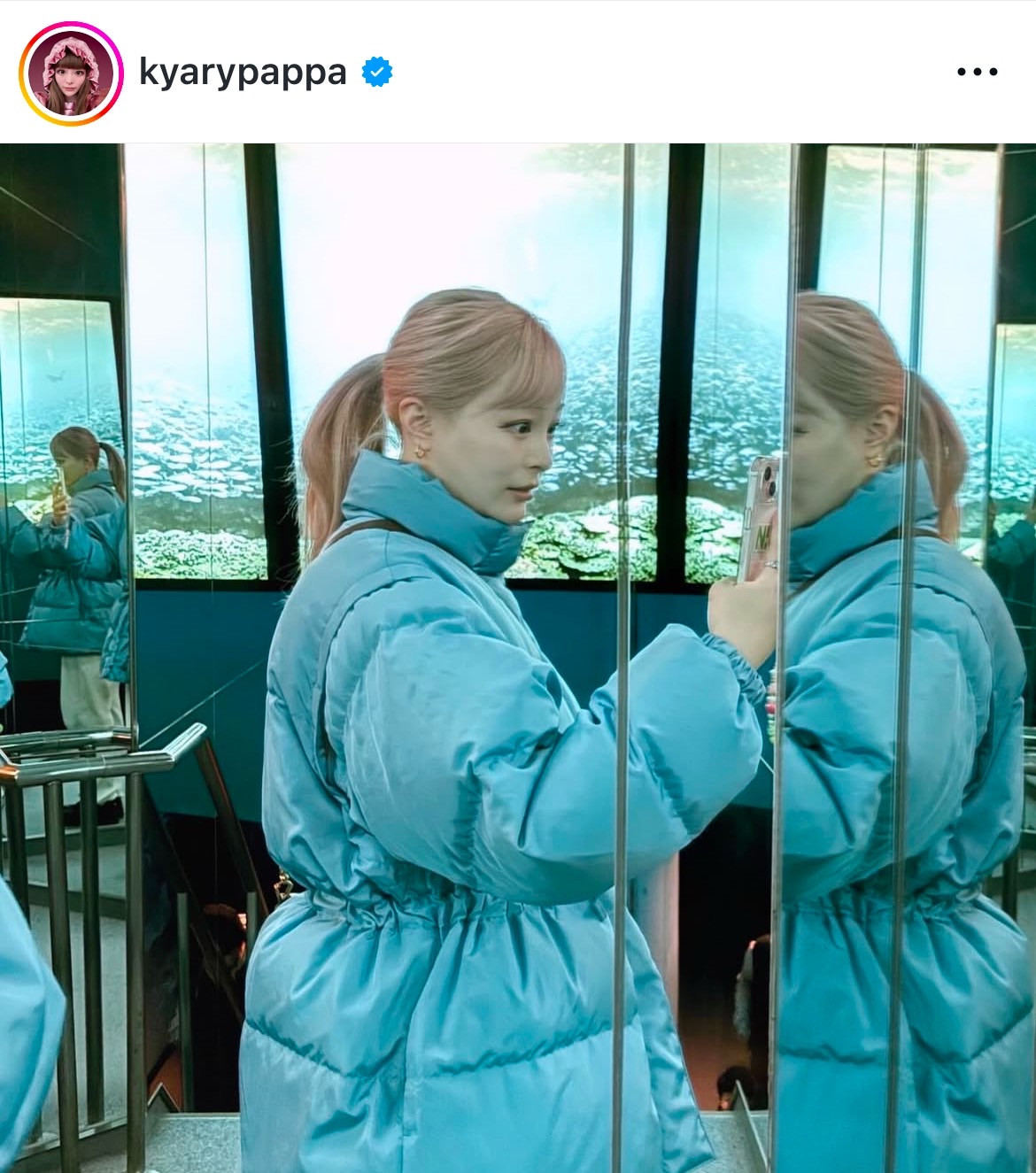 u|jefr[v̂[ς݂ς݂ (ʐ^̓CX^O @kyarypappa ) 