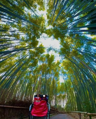 ������ގq�̃C���X�^�O���� ��sakurai.hinako_official��� 