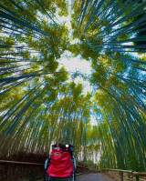 ������ގq�̃C���X�^�O���� ��sakurai.hinako_official��� 