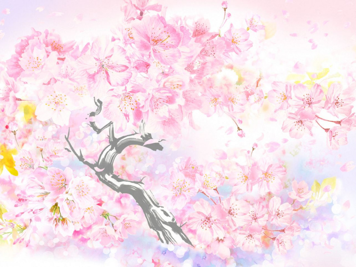 スタバ新作グッズ】毎年大人気のSAKURAグッズ、第一弾は「日桜」淡い