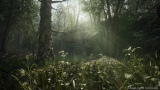 wMETAL GEAR SOLID : SNAKE EATERx̐삪(C)Konami Digital Entertainment 