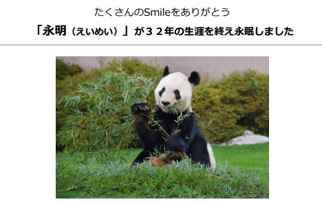 パンダ「永明」生涯終える アドベンチャーワールドがコメント発表 550