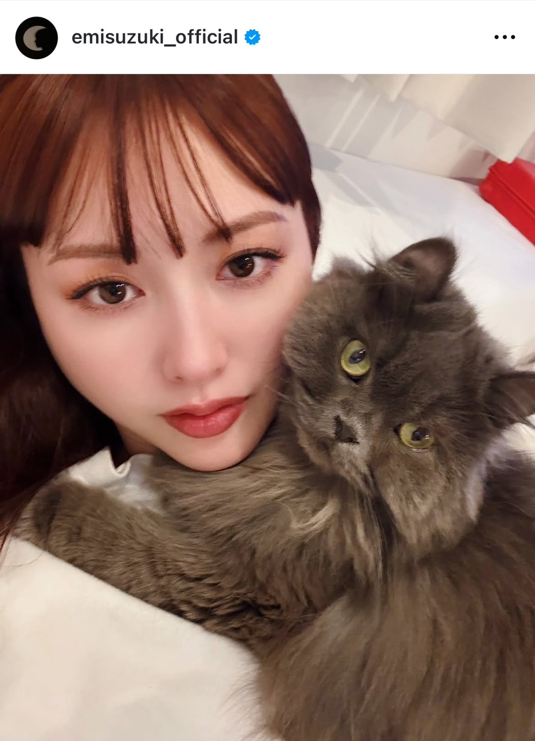 ؂݁u܂ɂVbgv(ʐ^̓CX^O @emisuzuki_official ) 